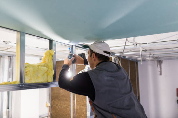 Types of Insulation We Offer in Chalmette, LA