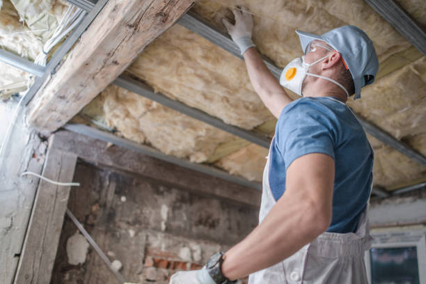 Best DIY Insulation Kits and Guidance in Chalmette, LA