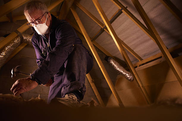 Best Residential Insulation in Chalmette, LA